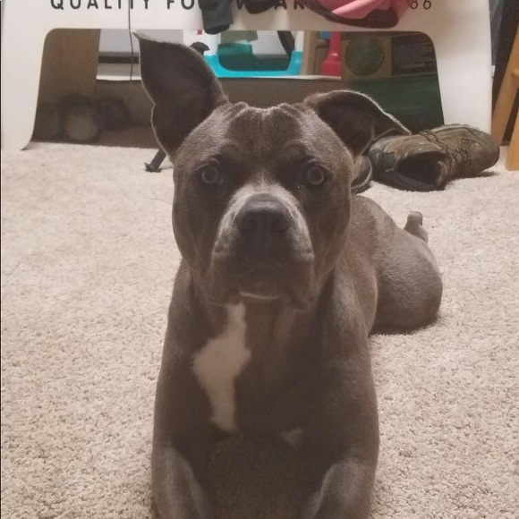 Meet your Posher, Freya EightyEight - Picture 2 of 16